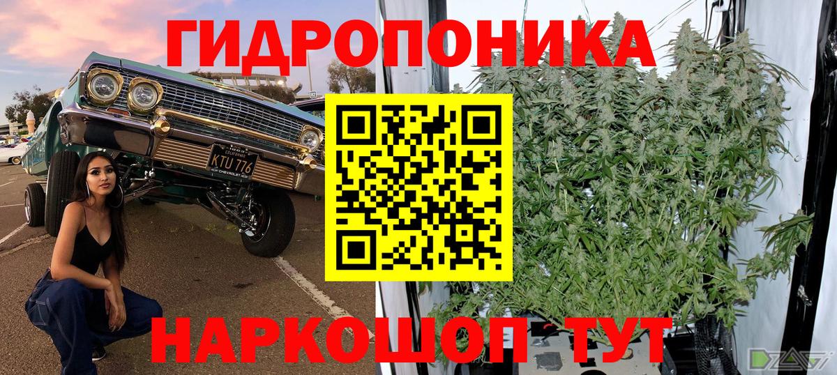 Шишки марихуана Bruce Banner  Бошки Шишки Ganja  Бошки Шишки LSD WEED  Вход с VPN  Узловая  Шишки марихуана Amnesia 
