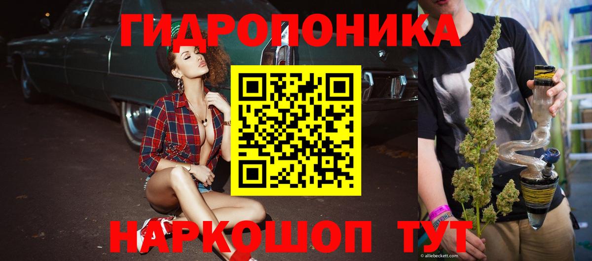 Каннабис OG Kush Узловая